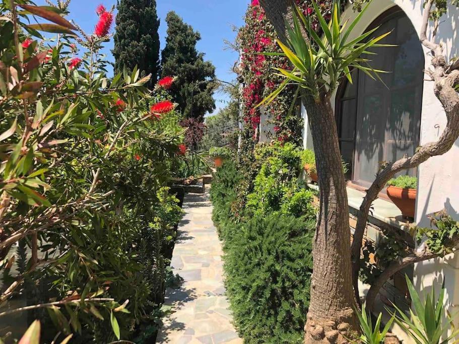 Villa Kasteli - Secret Beauty In The Mountains Karystos  Exterior foto