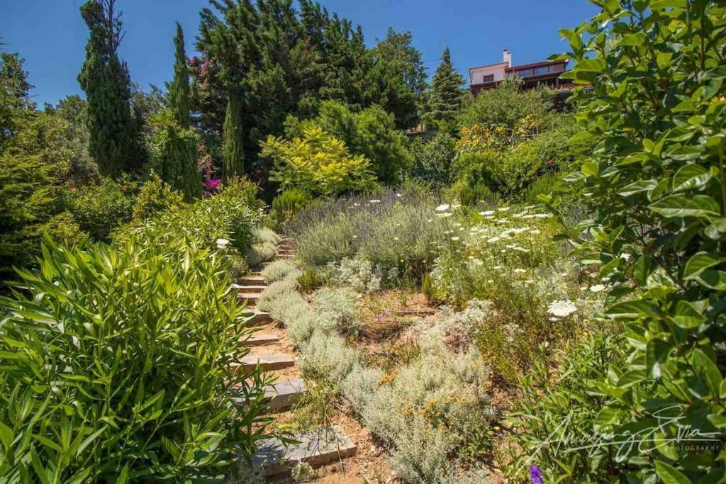 Villa Kasteli - Secret Beauty In The Mountains Karystos  Exterior foto