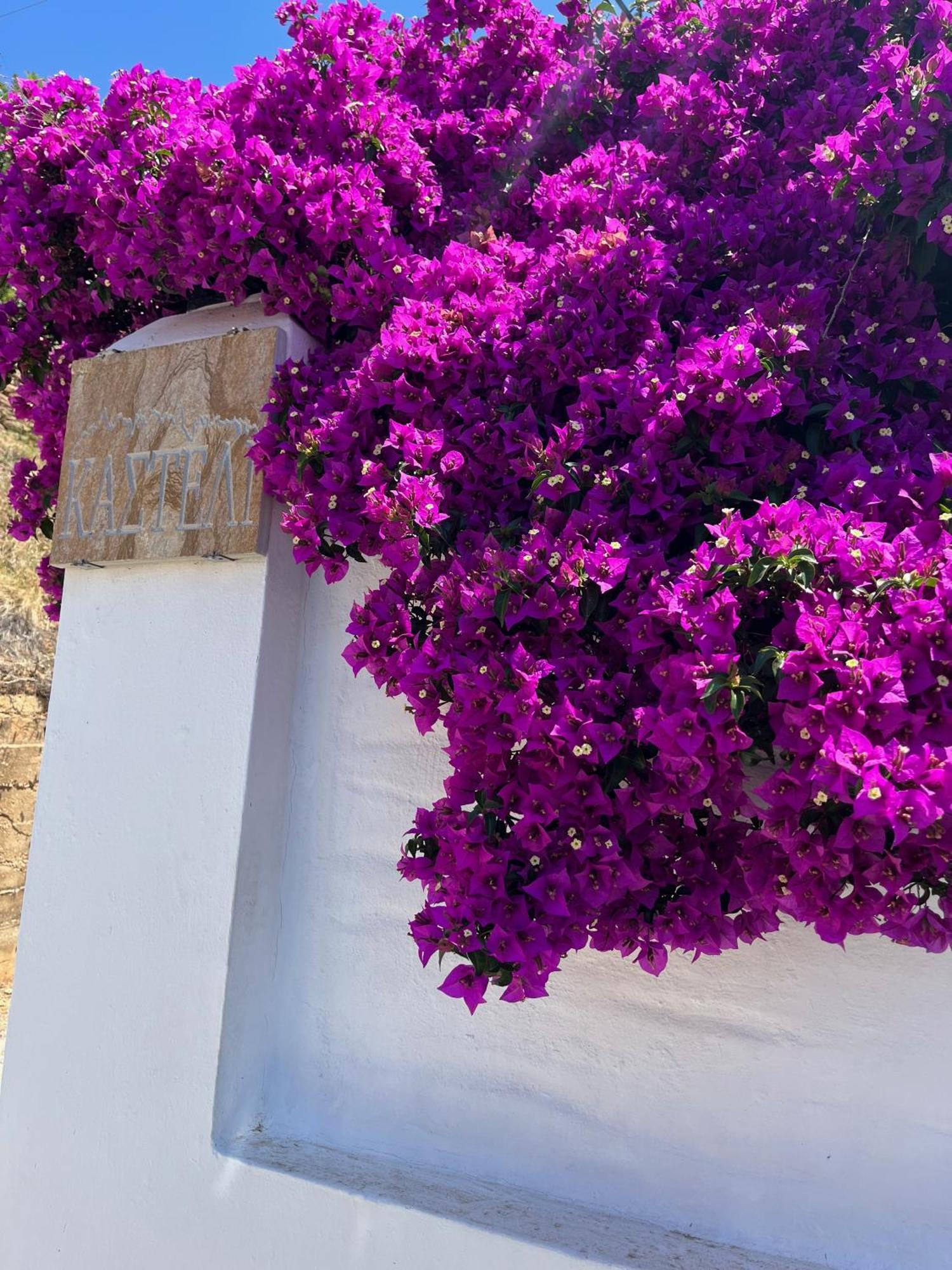 Villa Kasteli - Secret Beauty In The Mountains Karystos  Exterior foto